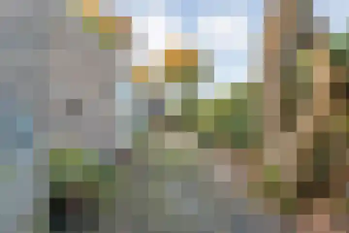 Boslaan 10 Hardenberg thumbnail 54