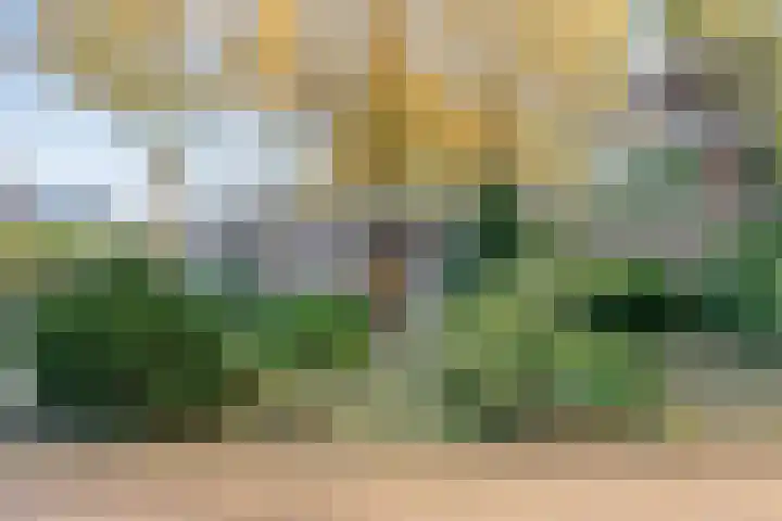 Boslaan 10 Hardenberg thumbnail 56