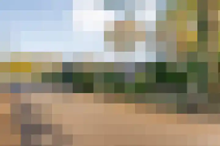 Boslaan 10 Hardenberg thumbnail 57