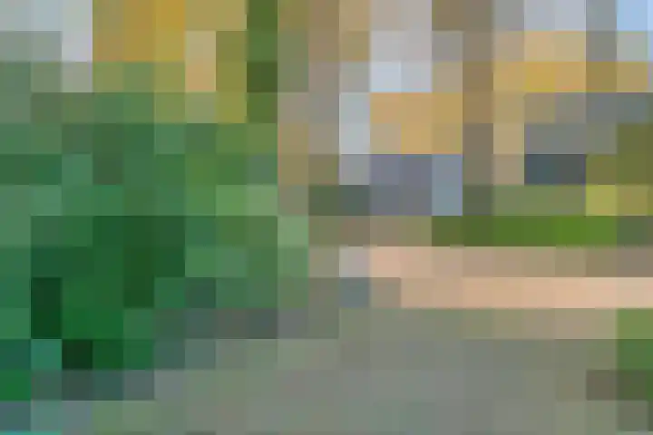 Boslaan 10 Hardenberg thumbnail 58