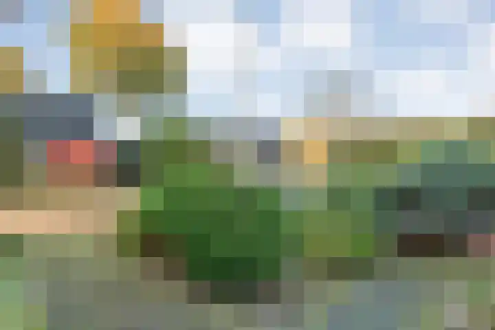 Boslaan 10 Hardenberg thumbnail 59