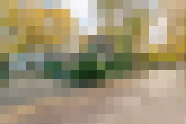 Boslaan 10 Hardenberg thumbnail 6