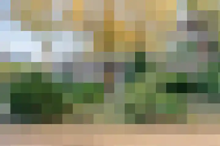 Boslaan 10 Hardenberg thumbnail 7
