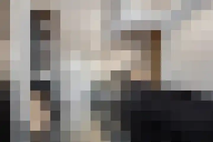 Boslaan 10 Zeist thumbnail 15