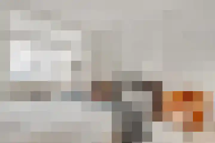 Boslaan 10 Zeist thumbnail 22