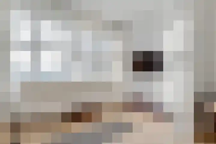 Boslaan 10 Zeist thumbnail 24