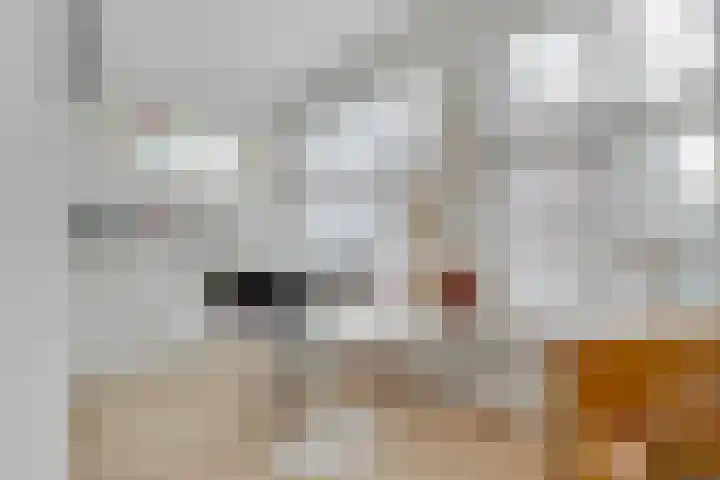 Boslaan 10 Zeist thumbnail 37