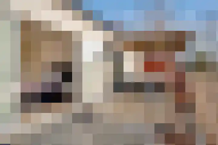 Boslaan 10 Zeist thumbnail 45