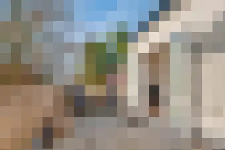 Boslaan 10 Zeist thumbnail 46
