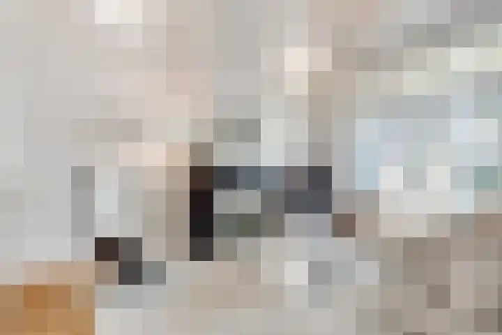 Boslaan 10 Zeist thumbnail 5