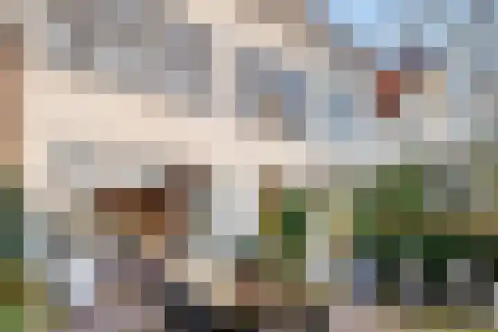 Boslaan 10 Zeist thumbnail 55