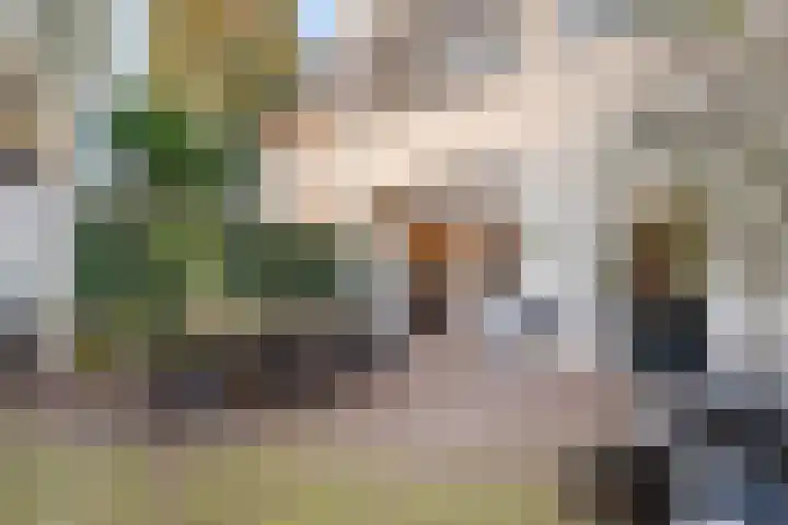 Boslaan 10 Zeist thumbnail 56