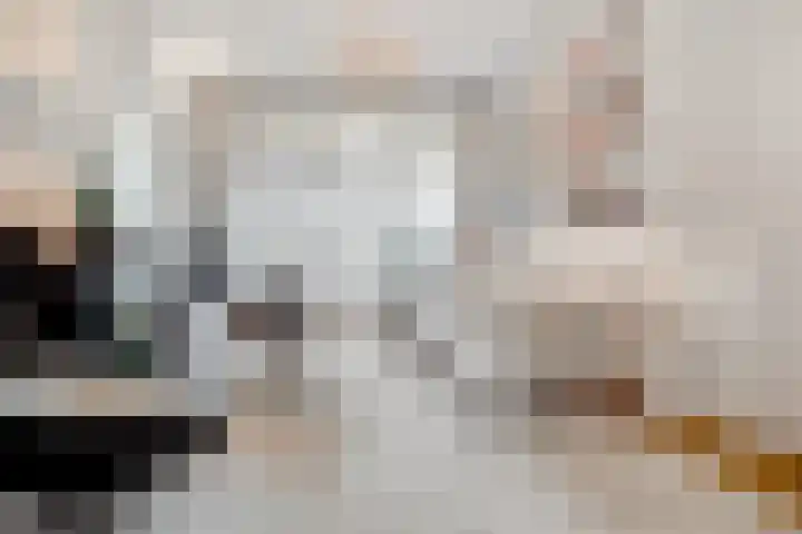 Boslaan 10 Zeist thumbnail 6