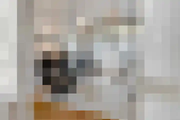 Boslaan 10 Zeist thumbnail 8