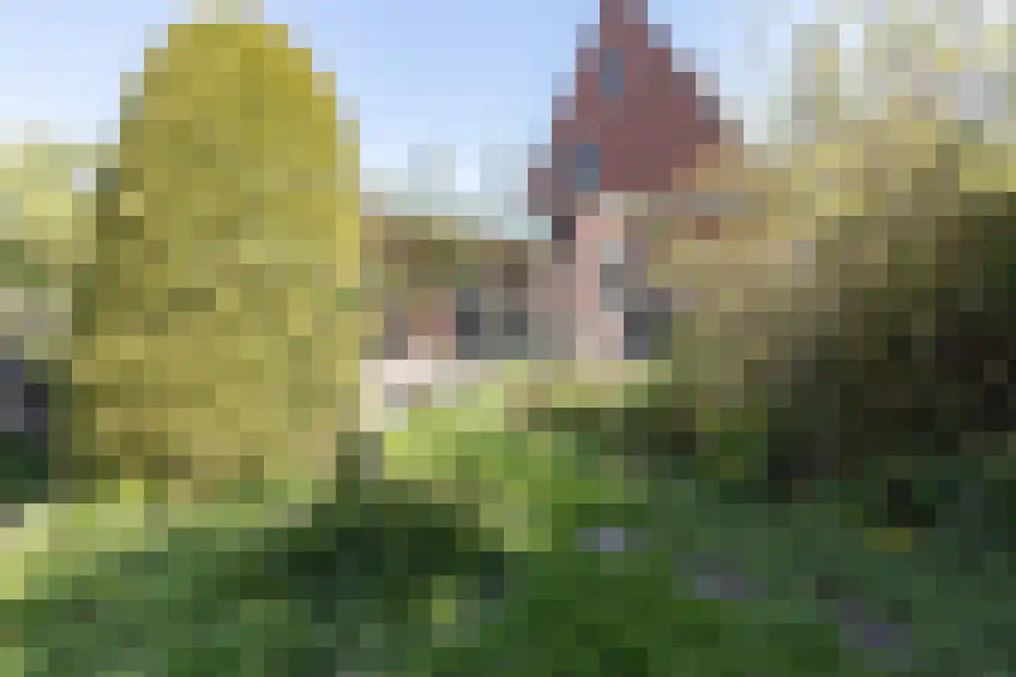 Boslaan 10 Zuidhorn thumbnail 16
