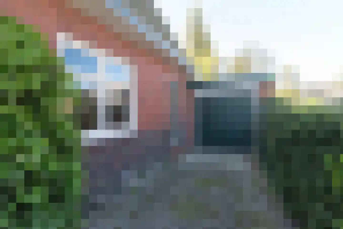 Boslaan 10 Zuidhorn thumbnail 30