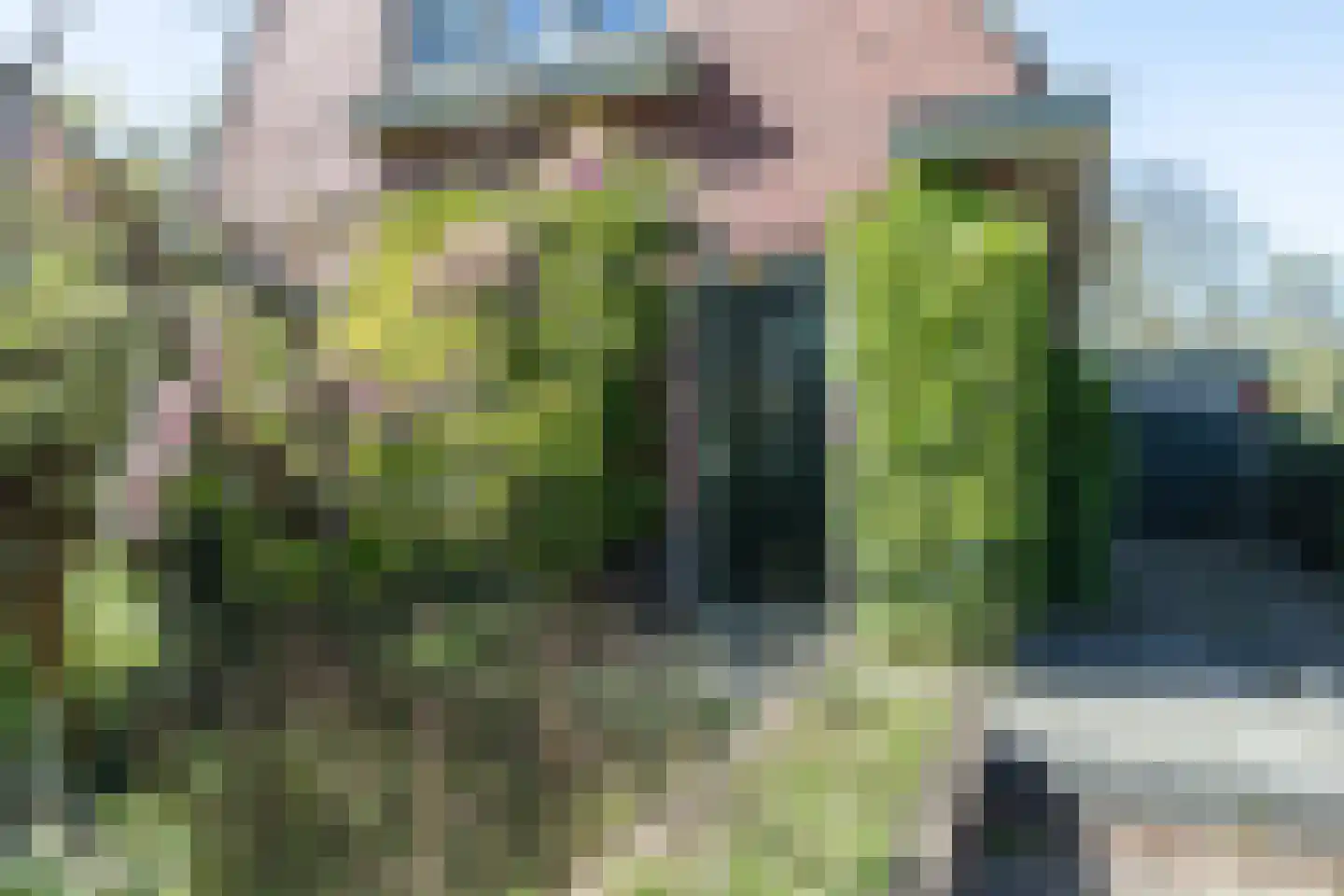 Boslaan 10 Zuidhorn thumbnail 5