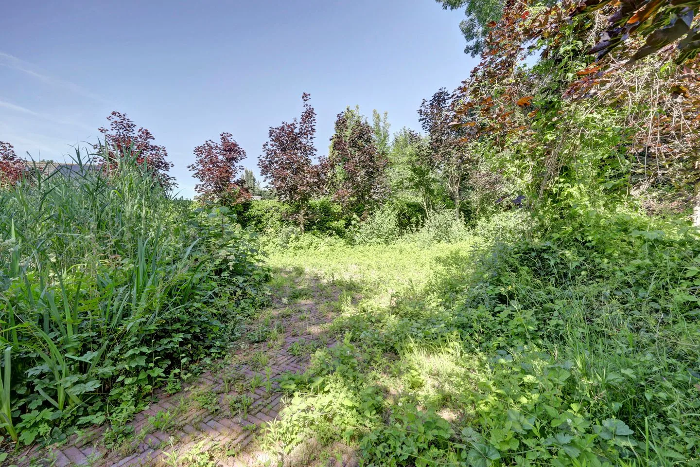 Boslaan 103 Dronten thumbnail 58