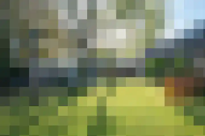 Boslaan 103 Emmen thumbnail 34