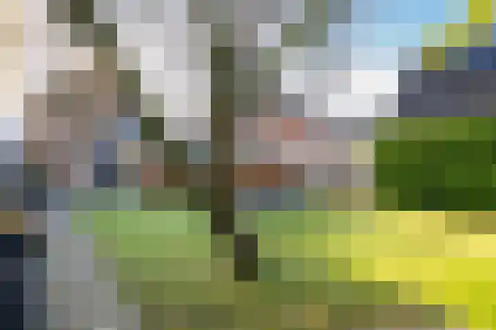 Boslaan 103 Emmen thumbnail 36