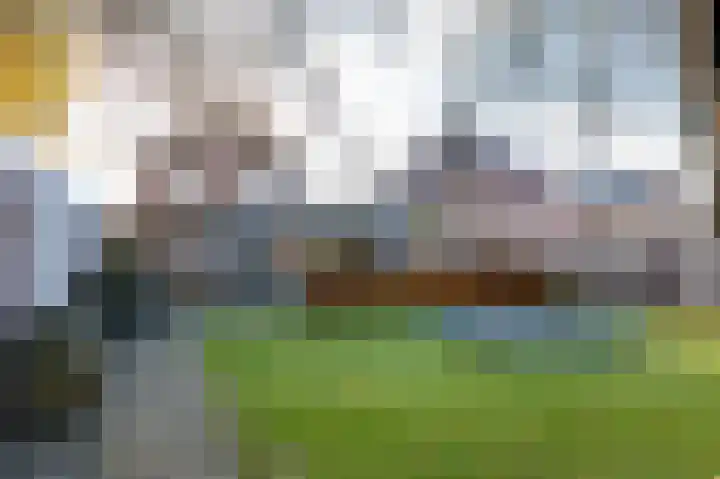 Boslaan 103 Emmen thumbnail 38