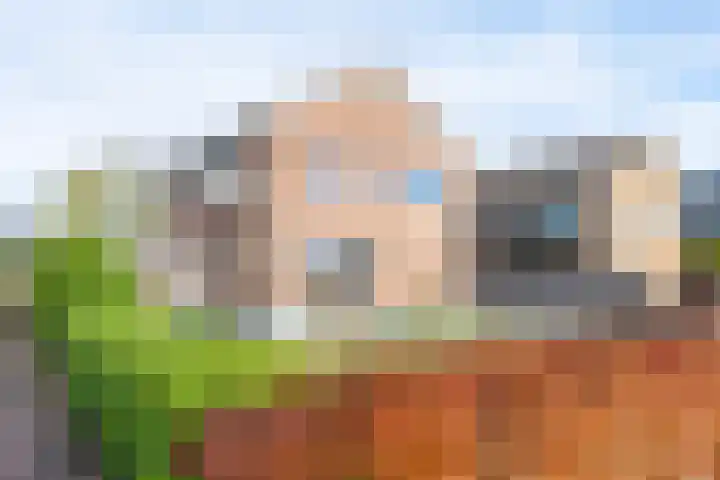Boslaan 103 Emmen thumbnail 41