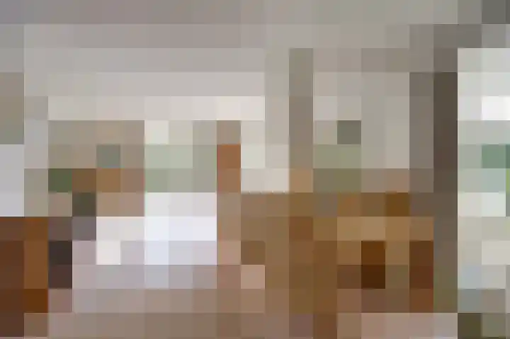 Boslaan 113 Dronten thumbnail 19