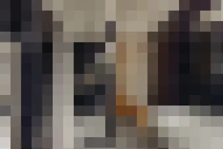 Boslaan 113 Dronten thumbnail 36