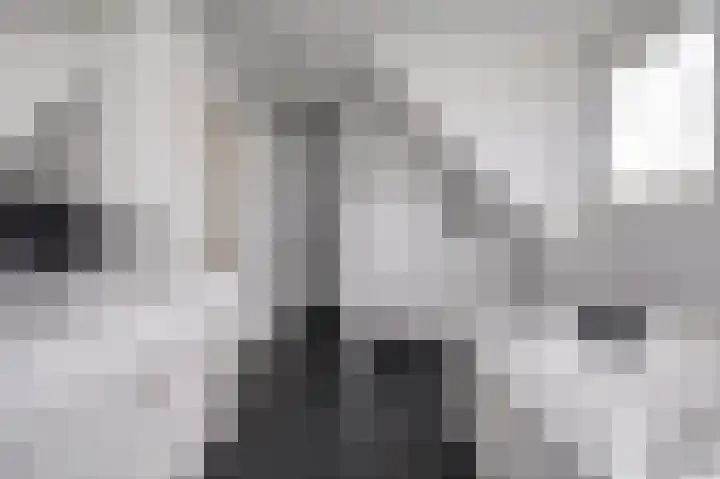 Boslaan 113 Dronten thumbnail 4