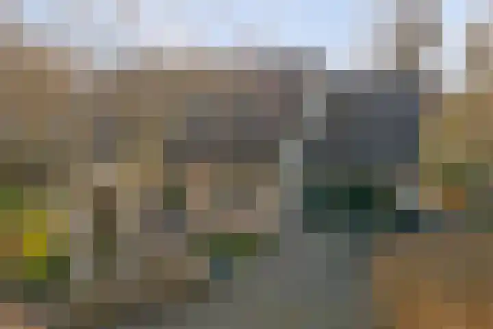 Boslaan 113 Dronten thumbnail 41