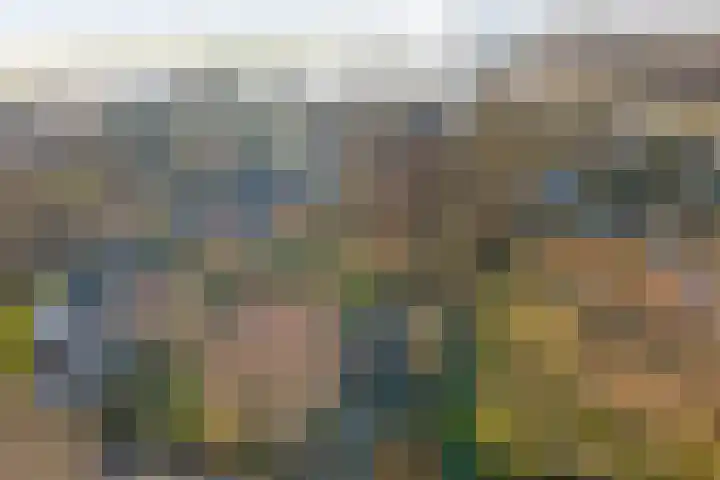 Boslaan 113 Dronten thumbnail 44