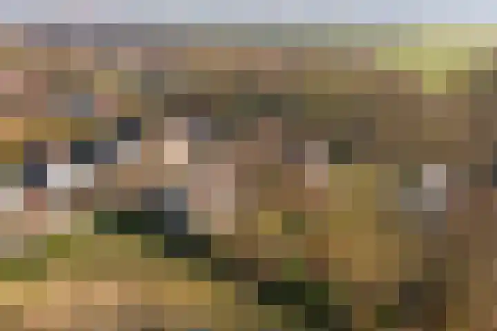 Boslaan 113 Dronten thumbnail 46