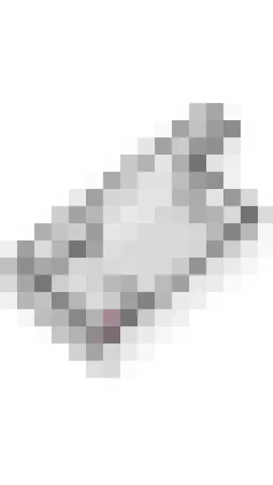 Boslaan 113 Dronten thumbnail 48