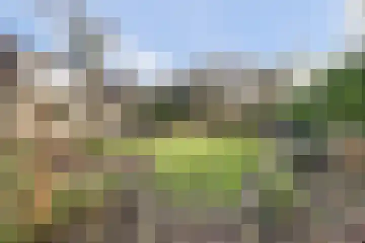 Boslaan 113 Dronten thumbnail 49