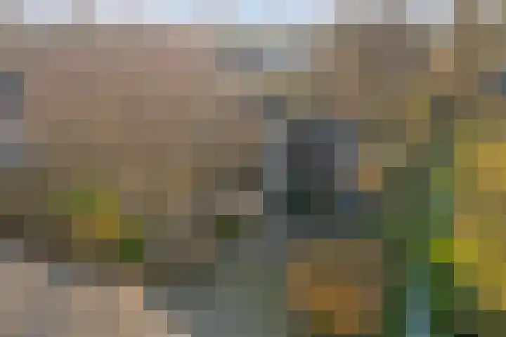 Boslaan 113 Dronten thumbnail 5