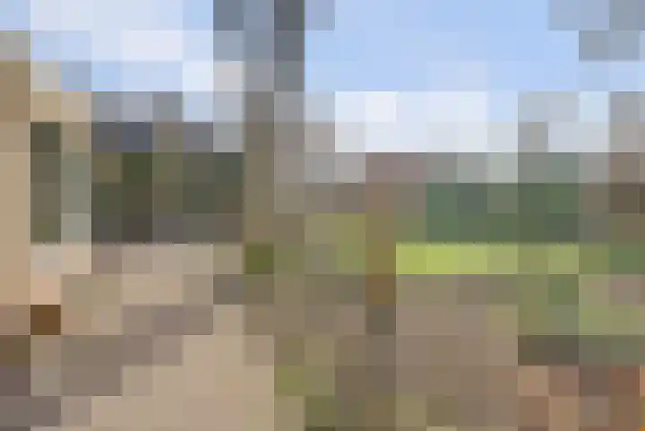 Boslaan 113 Dronten thumbnail 50