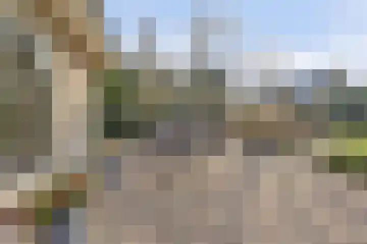 Boslaan 113 Dronten thumbnail 51