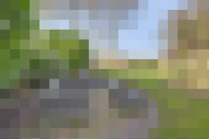 Boslaan 113 Dronten thumbnail 54