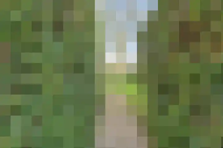 Boslaan 113 Dronten thumbnail 55