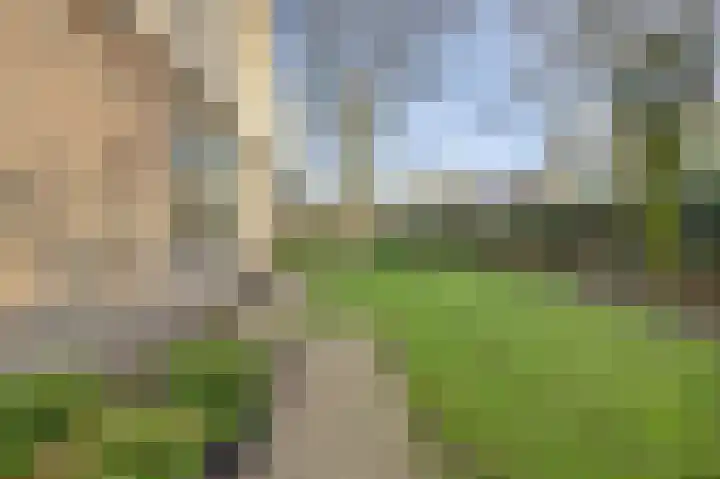 Boslaan 113 Dronten thumbnail 56