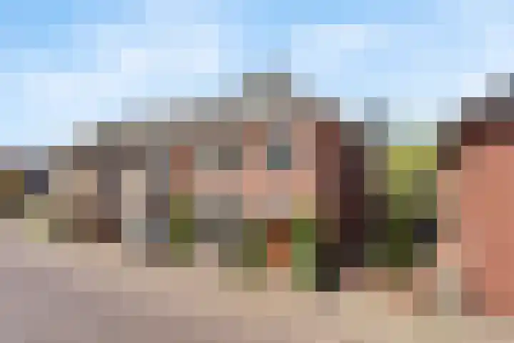 Boslaan 113 Dronten thumbnail 57