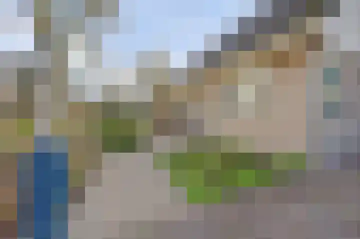 Boslaan 113 Dronten thumbnail 57