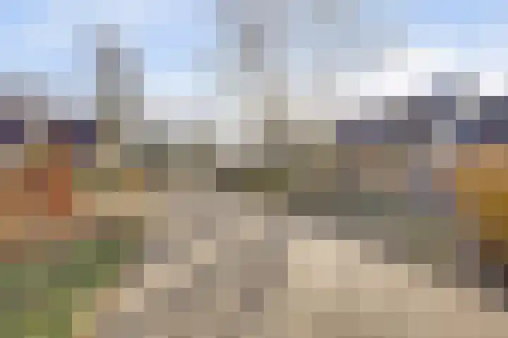 Boslaan 113 Dronten thumbnail 58