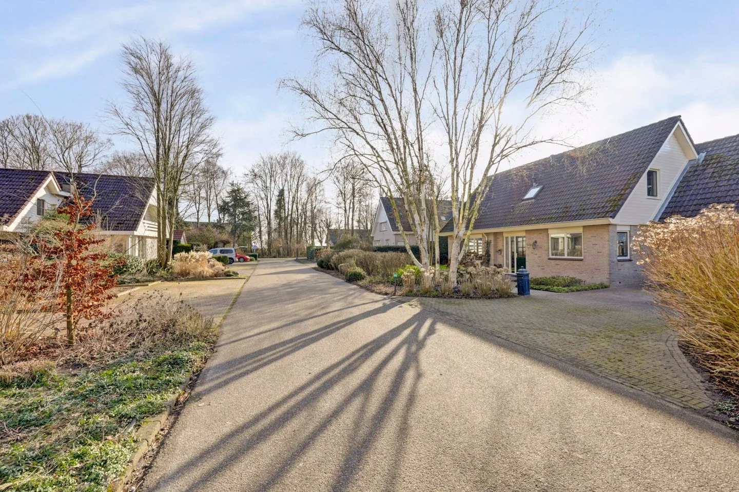 Boslaan 113 Dronten thumbnail 58