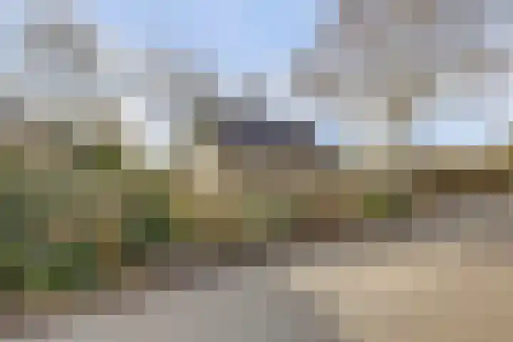 Boslaan 113 Dronten thumbnail 60