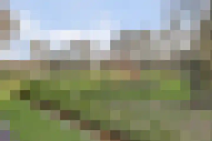 Boslaan 113 Dronten thumbnail 61