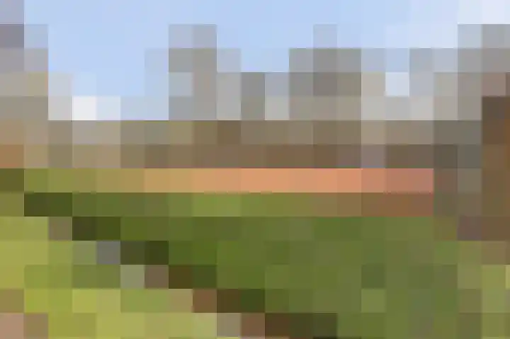 Boslaan 113 Dronten thumbnail 62