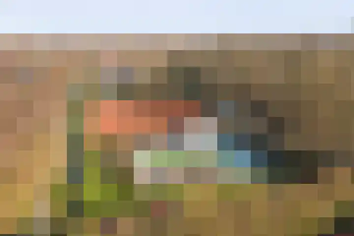 Boslaan 113 Dronten thumbnail 63