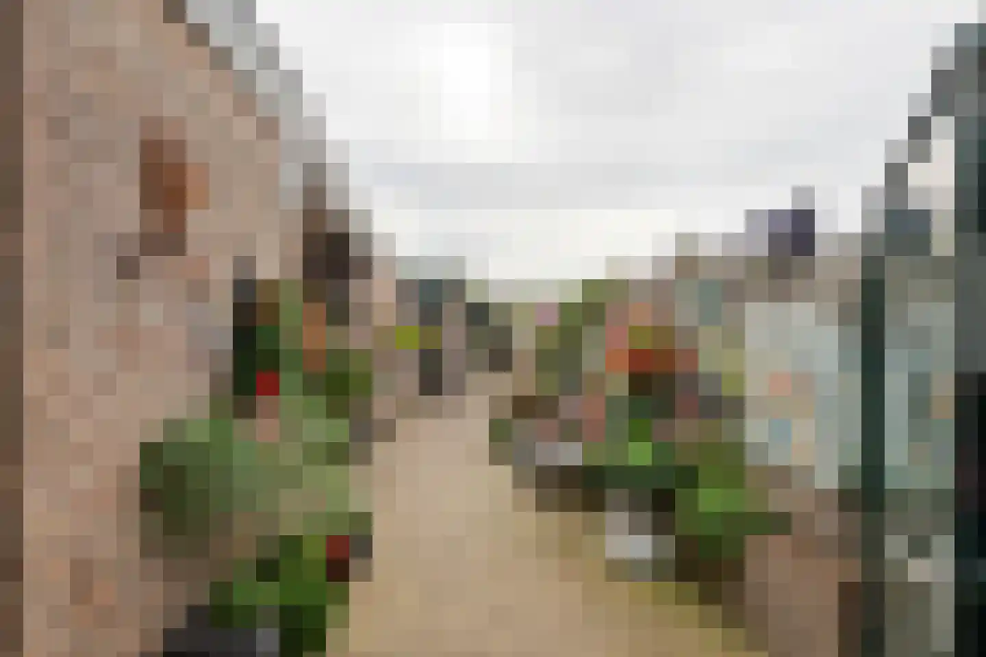 Boslaan 113 Veenendaal thumbnail 18