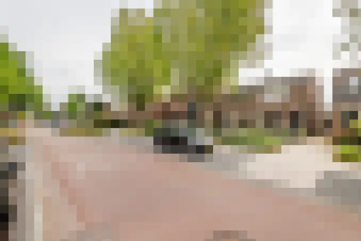 Boslaan 113 Veenendaal thumbnail 35